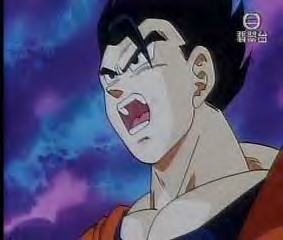 gohan13.jpg